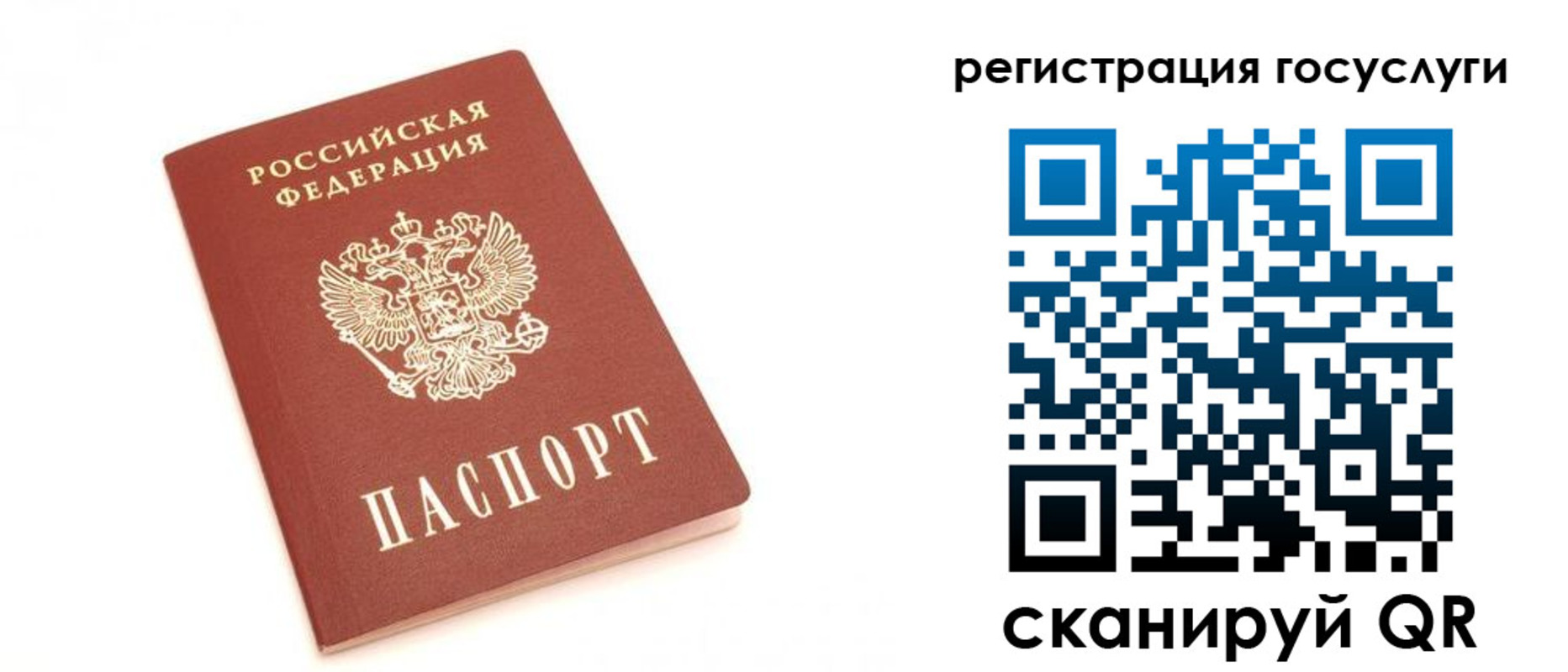 прописка для школы в Благовещенске